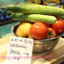 배드트레이너 이미지