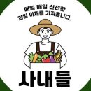 다름 과일 이미지