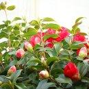 금강온천 이미지