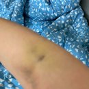 일산라쥬네스내과의원 이미지