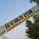 샬롬농장 네이버블로그
