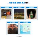 인천 보홀 항공권 직항 진에어 온라인체크인 비상구 자리 후기