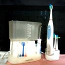 (속보) 법원행정처, 이하상*권우현 변호사 고발 ... 법정모욕과 명예훼손 혐의 이미지