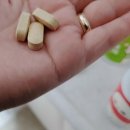 에이치비엘 | 귀요미 다이어트보조제 HBL(에이치비엘) 추천해볼게요.