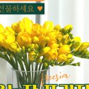 준2농장 이미지