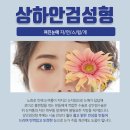 리즈성형외과의원 네이버블로그