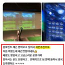 QED 골프아카데미 연습장 이미지