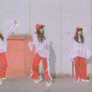 쎄시 이미지