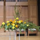 원주제일 이미지