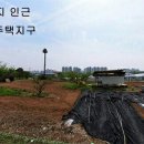 수원-0984 Daum카페