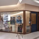 아웃오브프레임 | 민생지원금 내돈내산 안경 구매하기!!(아웃 오브 프레임)