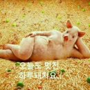 [오늘의뉴스]2019년 3월 9일 세상소식