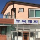 뉴욕제과