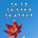 오월의 화려한 유혹 이미지