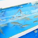 인계푸르지오아파트 앞 이미지