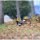 함주공원 이미지