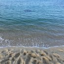 올라스풀빌라펜션 이미지