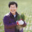 부농유통