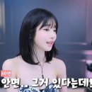 세연컴퍼니 네이버블로그