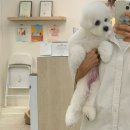 항상,예쁘개 이미지