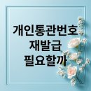 🚨 **필수 경고:** 해외 직구 막히는 순간! 『개인통관고유부호』 분실했을 때 1분 만에 재발급 받는 비법. 이미지