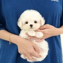 청도메디컬 이미지