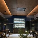 일일시호주 이미지