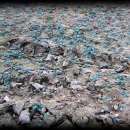 연동농장 이미지