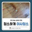 언주로 | 오랫동안 비어있던 집 강남구 언주로 원룸 공실 이사청소 후기