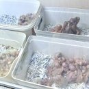 경주부화장 이미지