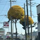 타이어캠프(주) 충주 | 캠핑 3회차 @충주_캠프팔봉 #2박 3일