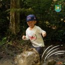 At EYC Jungle School, learning happens 이미지