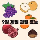 배감 이미지