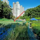 분당-279 이미지