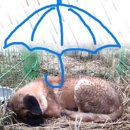 수석농장 이미지