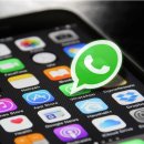 인터넷&스마트폰활용 | 중장년을 위한 스마트폰 인터넷 사용법, 검색부터 활용까지