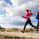 독일렉스톤보청기 이미지