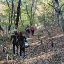 11월2일 정기산행/북한산둘레길11구간/효자길 이미지