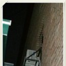 경기특판