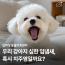 임재성동물의료센터 네이버블로그