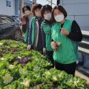 검단동행정복지센터 네이버블로그