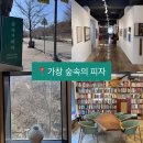 그림책 속 보타니컬 힐링아트 | 대구 근교 드라이브 장소 가창 ‘숲속의 피자&amp;아트도서관’ 가창점에서 피자먹고 책읽고 왔어요