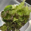 김삿갓초장 이미지