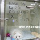 동심동물병원 이미지