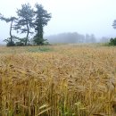 성산별장 이미지