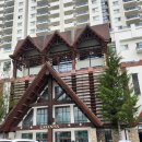 애니농장 | 여름 휴가 가볼만한곳 짧게1박 2일 놀기 좋은 곳 아이들과 볼거리 여행 용평리조트 숙박 애니포레 후기