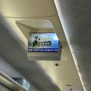 형제카서비스 | [포항여행] 코스 추천 및 솔직 후기ㅣ롯데 렌터카 + 오브레멘 카페 + 영일교 + 죽도시장 먹거리(대게)