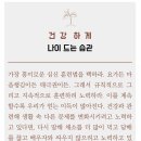 나이스카 이미지