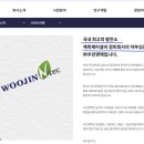 신화엔텍