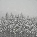 물영아리오름 이미지